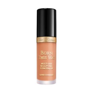 Born This Way Super Coverage Multiuse Concealer